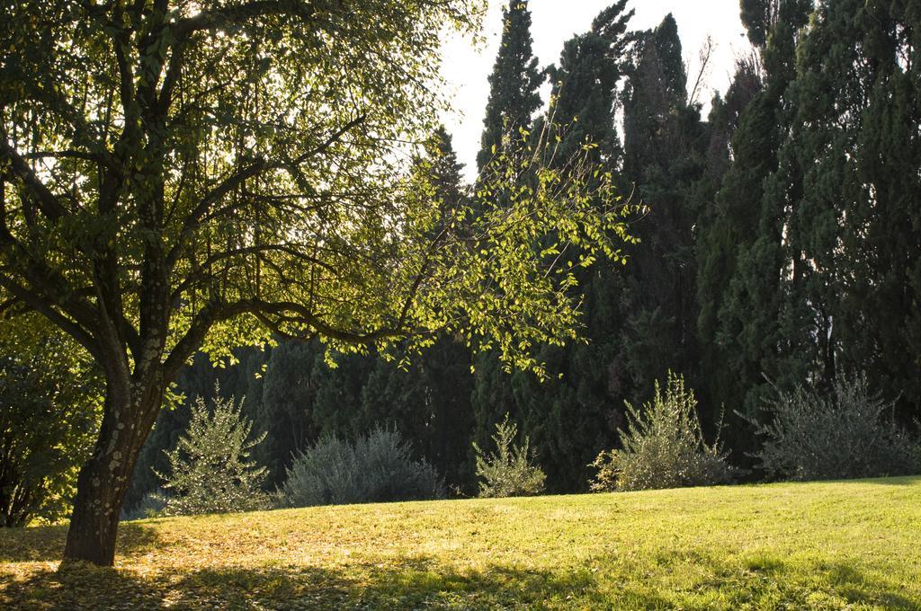 Villa Montaperti Monteaperti  Room photo